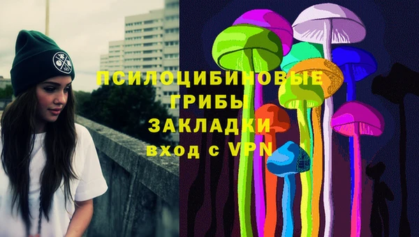 a pvp Богородск