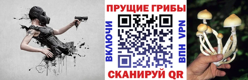 Галлюциногенные грибы ЛСД  Щучье 